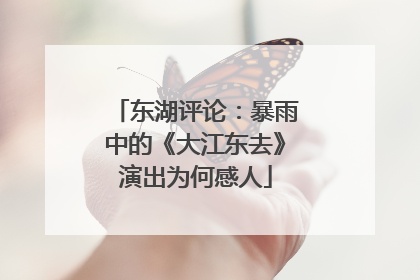 东湖评论：暴雨中的《大江东去》演出为何感人
