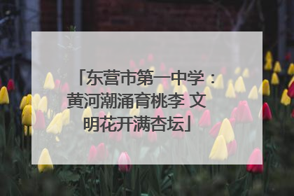 东营市第一中学：黄河潮涌育桃李 文明花开满杏坛