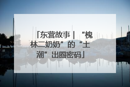 东营故事｜“槐林二奶奶”的“土潮”出圈密码
