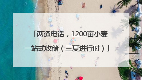 两通电话，1200亩小麦一站式收储（三夏进行时）