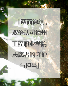 两面锦旗，双倍认可德州工程职业学院志愿者的守护与担当