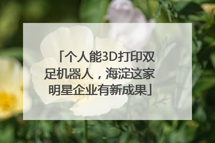 个人能3D打印双足机器人，海淀这家明星企业有新成果
