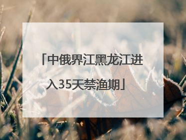 中俄界江黑龙江进入35天禁渔期