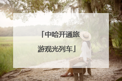 中哈开通旅游观光列车
