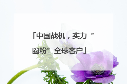 中国战机，实力“圈粉”全球客户