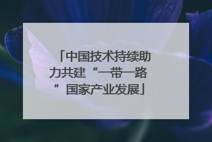 中国技术持续助力共建“一带一路”国家产业发展