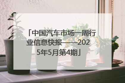 中国汽车市场一周行业信息快报——2025年5月第4期