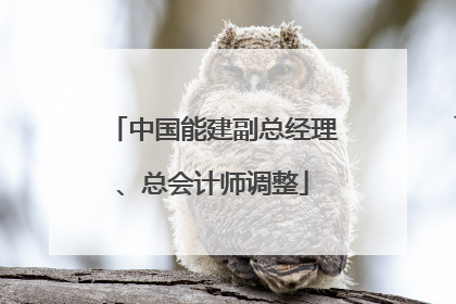 中国能建副总经理、总会计师调整