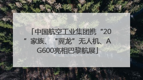 中国航空工业集团携“20”家族、“翼龙”无人机、AG600亮相巴黎航展