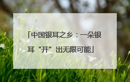 中国银耳之乡：一朵银耳“开”出无限可能