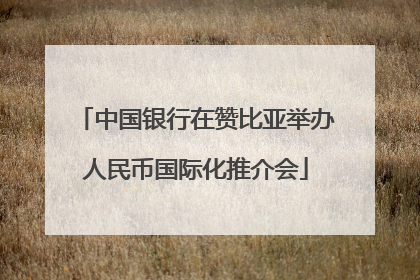 中国银行在赞比亚举办人民币国际化推介会