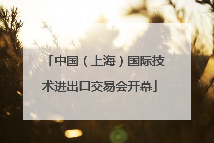 中国（上海）国际技术进出口交易会开幕