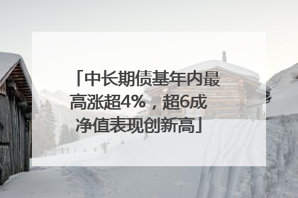 中长期债基年内最高涨超4%，超6成净值表现创新高