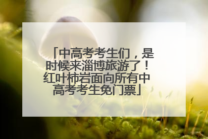 中高考考生们，是时候来淄博旅游了！红叶柿岩面向所有中高考考生免门票