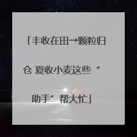 丰收在田→颗粒归仓 夏收小麦这些“助手”帮大忙
