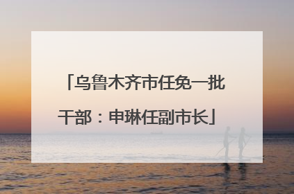 乌鲁木齐市任免一批干部：申琳任副市长