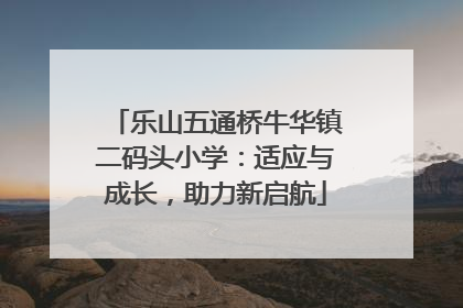 乐山五通桥牛华镇二码头小学：适应与成长，助力新启航