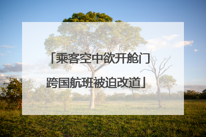 乘客空中欲开舱门 跨国航班被迫改道