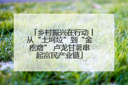 乡村振兴在行动丨从“土坷垃”到“金疙瘩” 卢龙甘薯串起富民产业链