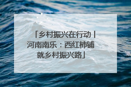 乡村振兴在行动丨河南南乐：西红柿铺就乡村振兴路