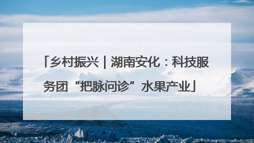 乡村振兴｜湖南安化：科技服务团“把脉问诊”水果产业