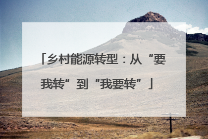 乡村能源转型：从“要我转”到“我要转”