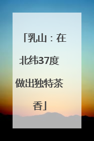 乳山:在北纬37度做出独特茶香