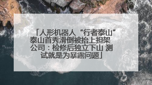 人形机器人“行者泰山”泰山首秀滑倒被抬上担架 公司：检修后独立下山 测试就是为暴露问题