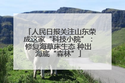 人民日报关注山东荣成这家“科技小院”：修复海草床生态 种出海底“森林”
