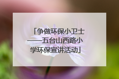 争做环保小卫士——五台山西路小学环保宣讲活动