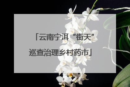 云南宁洱“街天”巡查治理乡村药市