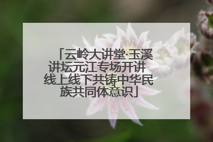 云岭大讲堂·玉溪讲坛元江专场开讲 线上线下共铸中华民族共同体意识