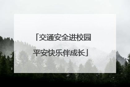 交通安全进校园 平安快乐伴成长