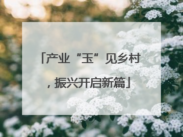 产业“玉”见乡村，振兴开启新篇