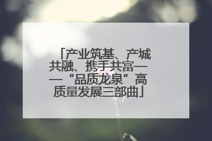 产业筑基、产城共融、携手共富——“品质龙泉”高质量发展三部曲
