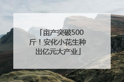 亩产突破500斤！安化小花生种出亿元大产业