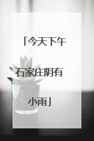 今天下午石家庄阴有小雨