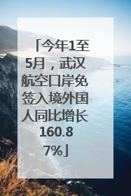 今年1至5月，武汉航空口岸免签入境外国人同比增长160.87%