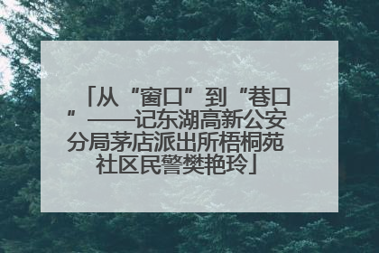 从“窗口”到“巷口”——记东湖高新公安分局茅店派出所梧桐苑社区民警樊艳玲