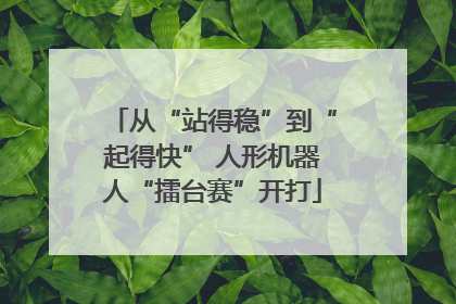 从“站得稳”到“起得快” 人形机器人“擂台赛”开打