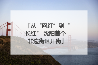 从“网红”到“长红” 沈阳首个非遗街区开街