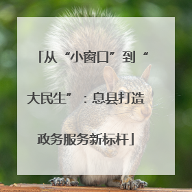 从“小窗口”到“大民生”：息县打造政务服务新标杆