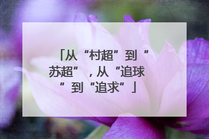 从“村超”到“苏超”，从“追球”到“追求”