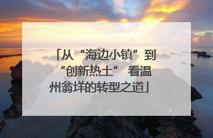 从“海边小镇”到“创新热土” 看温州翁垟的转型之道