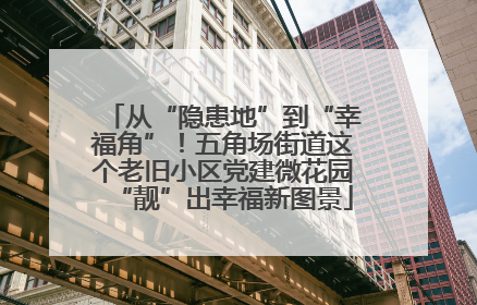 从“隐患地”到“幸福角”！五角场街道这个老旧小区党建微花园“靓”出幸福新图景