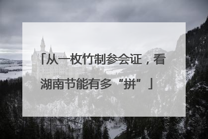 从一枚竹制参会证，看湖南节能有多“拼”