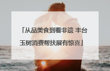 从品美食到看非遗 丰台玉树消费帮扶展有惊喜