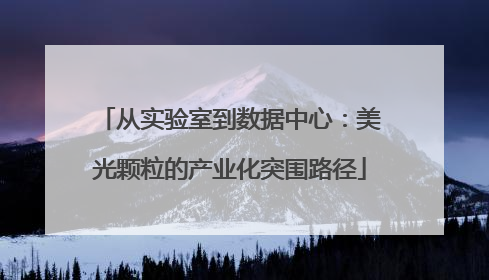 从实验室到数据中心：美光颗粒的产业化突围路径