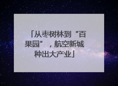 从枣树林到“百果园”，航空新城种出大产业