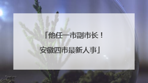 他任一市副市长！安徽四市最新人事